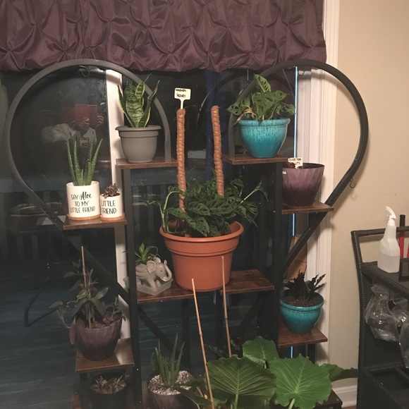 Meet your Posher, Theresa - Picture 2 of 11